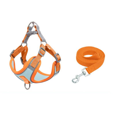 Chaleco Reflectante Anti-Escape para Perros Pequeños y Medianos con Correa Integrada - Image 7