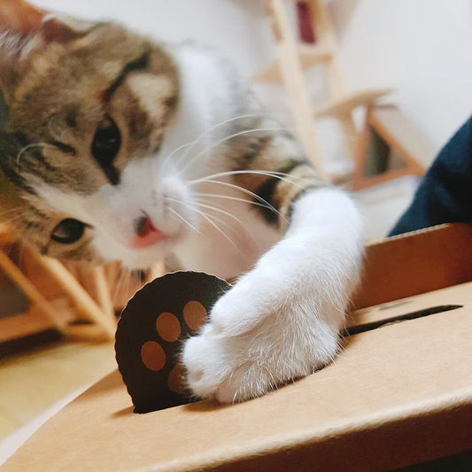 Juguete Interactivo para Gatos con Máquina de Hámster y Cartón Corrugado - Image 2