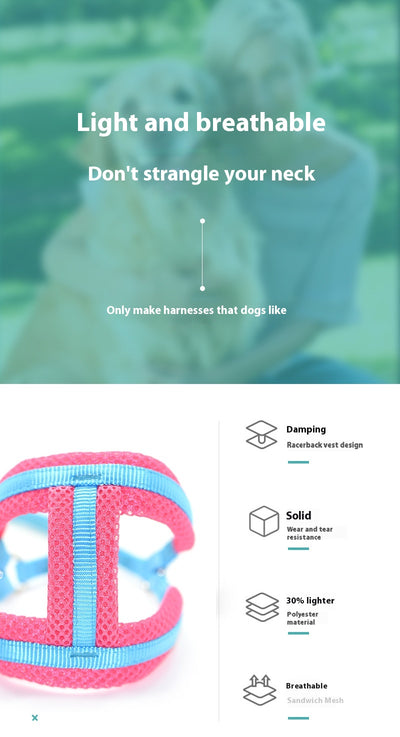 Arnés de Pecho para Perro con Cuerda y Clip Nylon - Image 12