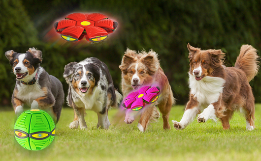 Pelota Voladora UFO con 6 Luces LED para Perros y Niños - Image 15