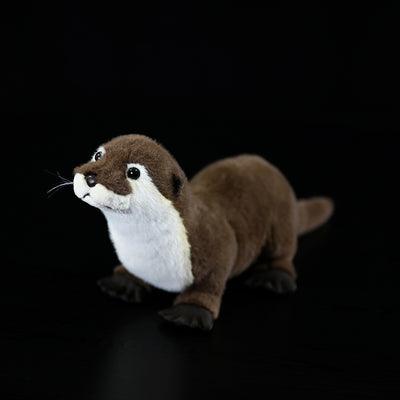Peluche Nutria Adorable - Image 4