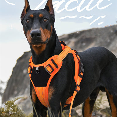 Purple pet harness with reflective straps, a top handle, and a metal D-ring for leash attachment.