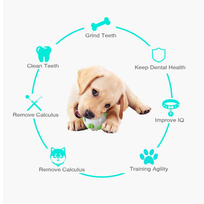 Juguete Pelota Interactiva para Perros - Limpieza Dental, Entrenamiento Mental y Alivio del Estrés - Image 6