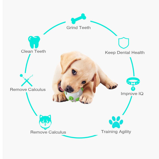Juguete Pelota Interactiva para Perros - Limpieza Dental, Entrenamiento Mental y Alivio del Estrés - Image 6