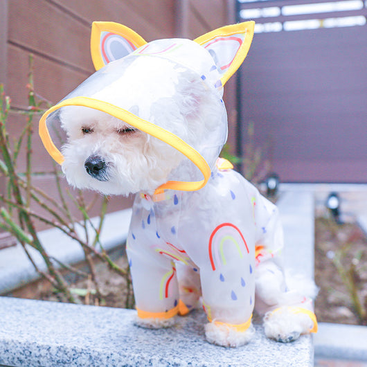 Impermeable Transparente Arcoíris para Perros - Image 16
