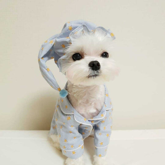 Pijama Estilo Blue Star para Perros - Ropa de Descanso Cómoda - Image 12