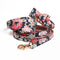Conjunto de Collar y Correa Japonés para Perros