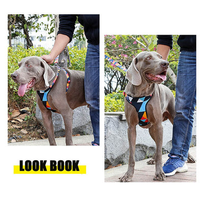 Arnés de pecho para perros con cuerda de tracción - Image 6