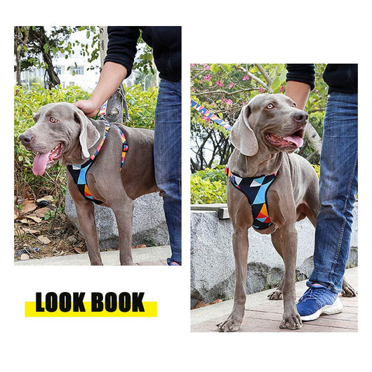Arnés de pecho para perros con cuerda de tracción - Image 6