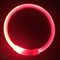 Collar LED Recargable para Perros con Luz Nocturna USB