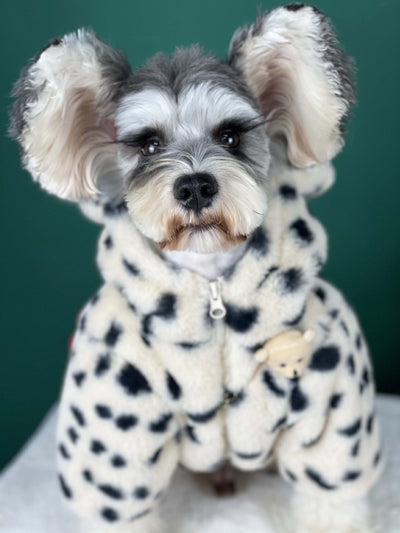 Abrigo Térmico para Perros con Diseño Pluché Punteado - Otoño e Invierno - Image 3