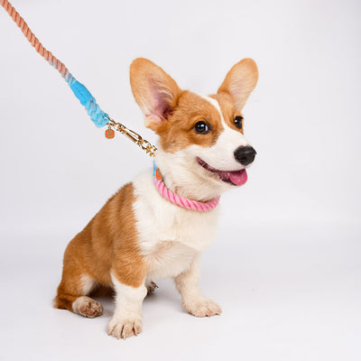 Collar Trenzado Antiexplosión para Perros