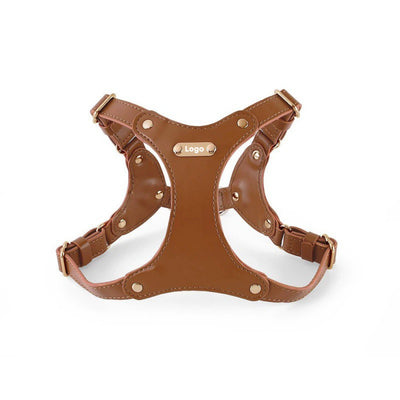 Correa Portátil de Cuero Suave para Perros Pequeños - Image 15