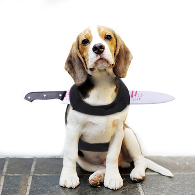 Ropa divertida de Halloween para mascotas - Image 2