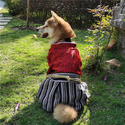 Ropa Samurái Zephyr para Perros - Estilo y Comodidad - Image 11
