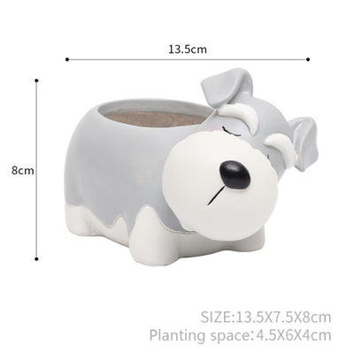 Maceta Decorativa Mascota Durmiente con Suculenta - Image 7
