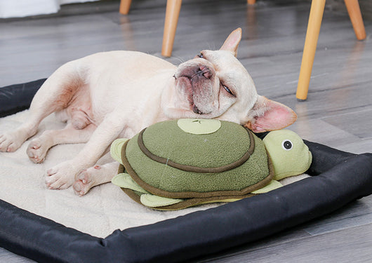 Juguete Peluche Tortuga Puzzle Interactivo para Perros - Image 8