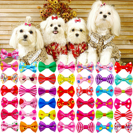 Accesorios para Mascotas - Moños y Flores para Perros y Gatos