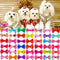 Accesorios para Mascotas - Moños y Flores para Perros y Gatos