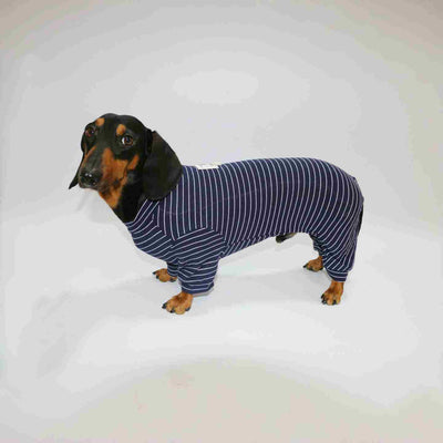 Ropa a Rayas para Perros y Gatos - Diseño Elegante y Cómodo - Image 6