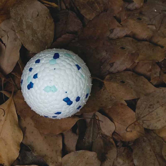 Pelota Masticable Resistente para Perros - Juguete ETPU Duradero - Image 6