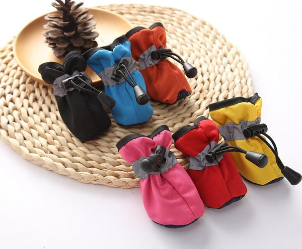 Zapatos Estilosos para Perros con Diseño Único en Lona Resistente