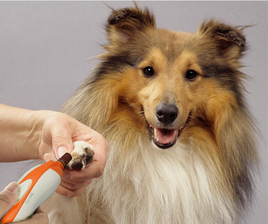 Afilador Eléctrico de Uñas para Mascotas - Image 4