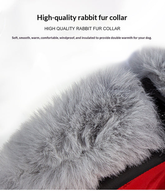 Abrigo Térmico Impermeable para Perros Grandes - Protección Total contra Frío - Image 14