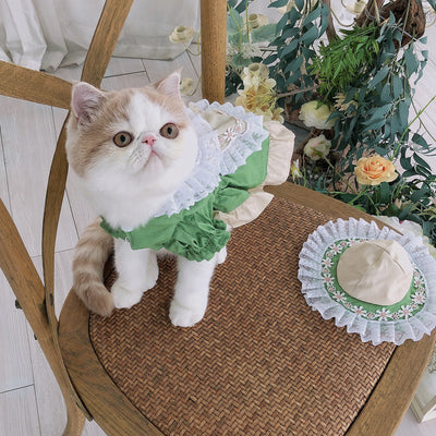 Disfraz Lolita para Mascotas - Traje de Sirvienta con Sombrero - Image 10
