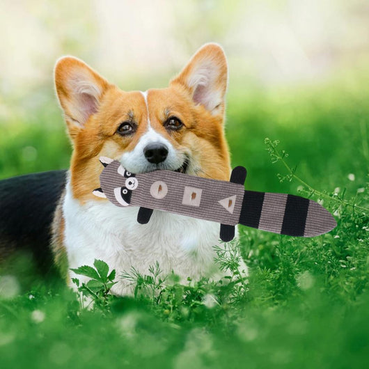 Juguete Mordedor Resistente para Perros con Dispensador de Premios - Image 11