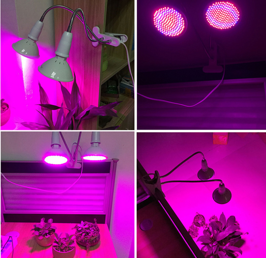 Lámpara LED de Cultivo Rojo-Azul para Plantas de Interior y Invernadero - Image 5