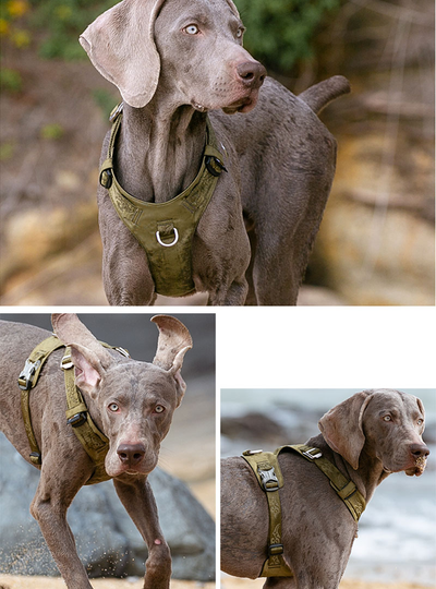 Arnés de Tracción para Perros Grandes con Correa de Paseo - Image 16