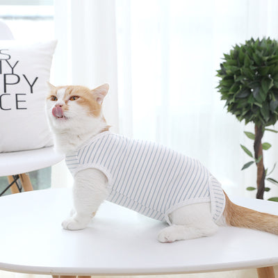 Ropa para Gatos Transpirable Cuatro Estaciones - Sección Fina