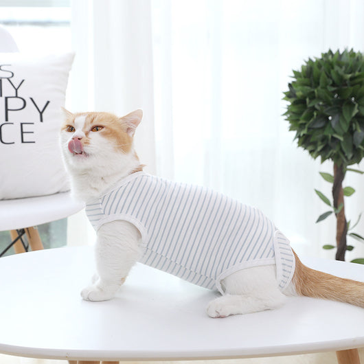 Ropa para Gatos Transpirable Cuatro Estaciones - Sección Fina