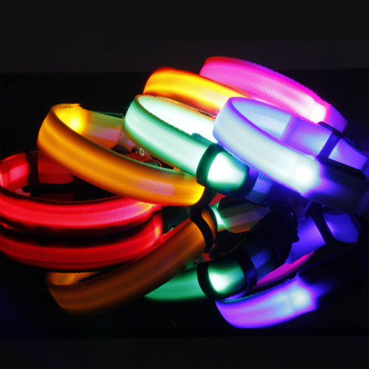 Collar LED de Seguridad para Perros - Image 2