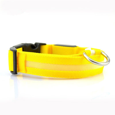 Collar de Seguridad LED para Mascotas - Image 7
