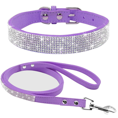 Collar para Perro Estilo Hot Dog - Image 16
