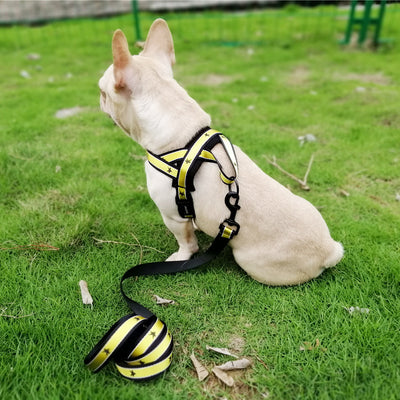 Arnés de Pecho para Perros Medianos y Grandes - Image 3
