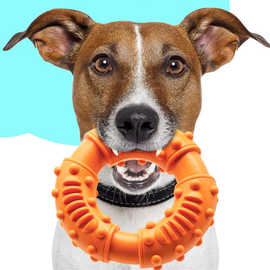 Juguete Flotante Interactivo para Perros - Palo Rebotador Hueco para Buscar y Traer