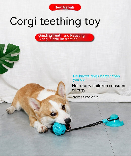 Green dog toy with a suction cup base and a textured ball on a black cord, designed for food dispensing and teeth cleaning. - Image 13