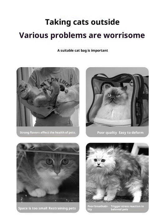 Bolsa de Transporte Plegable para Mascotas con Ruedas y Correa - Image 13