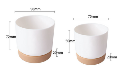 Maceta de Plástico Blanca con Drenaje Automático para Suculentas - Image 21