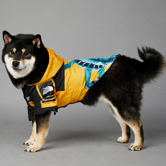 Impermeable para Perros Grandes - Chaqueta Protectora Resistente al Viento y Lluvia - Image 11