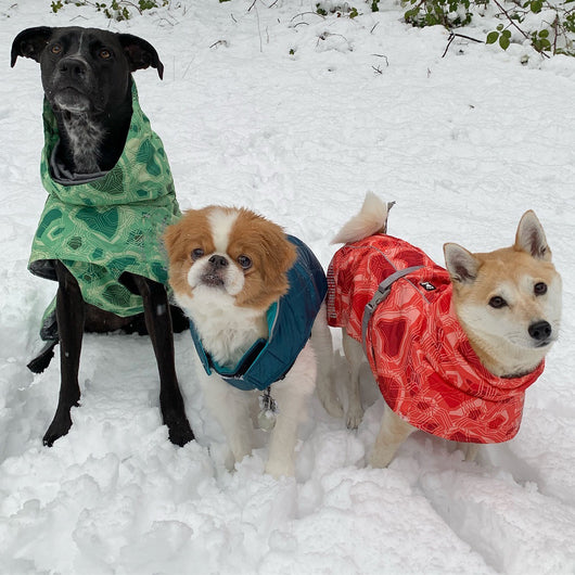 Abrigo Acolchado Impermeable para Perros Grandes - Protección Térmica Invierno - Image 15