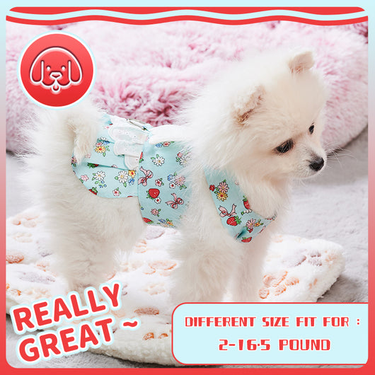 Vestido Arnés para Perro con Alas de Ángel y Correa - Outfit Fashion para Mascotas Pequeñas - Image 17