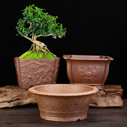 Maceta de Cerámica Refractaria para Orquídeas, Clivias y Plantas Verdes