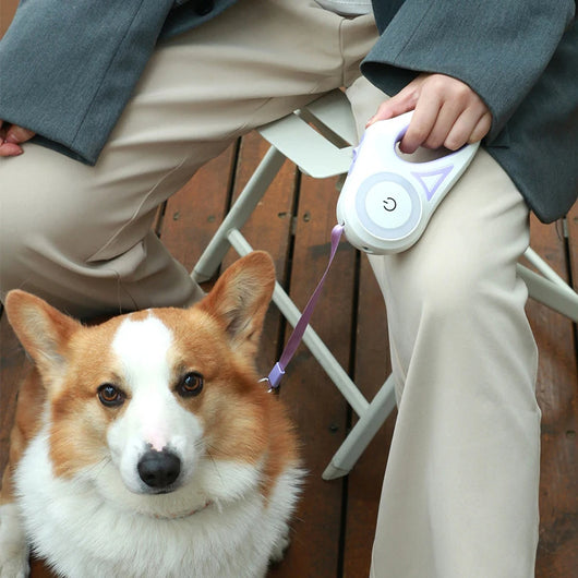 Correa Retráctil para Perros 3 y 5 Metros - Extensible Automática para Mascotas Grandes - Image 12