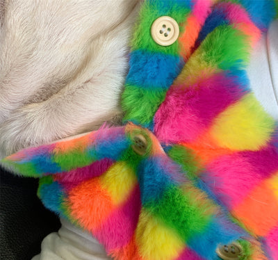 Chaleco Térmico Cuadrille Arcoíris para Perros - Abrigo Otoño e Invierno - Image 9