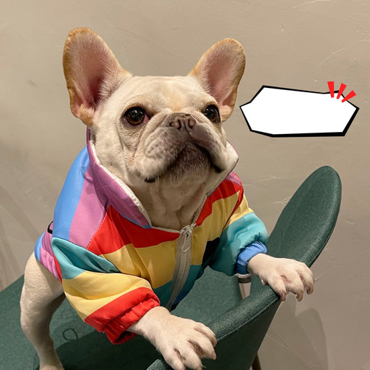 Ropa para Mascotas - Abrigo Estilo Pelea para Pug, Schnauzer y Teddy - Image 6