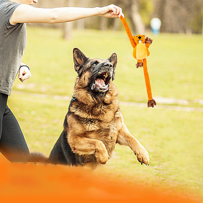 Juguete Interactivo para Perros con Cuerda - Ideal para Tirar, Morder y Entretenimiento - Image 10